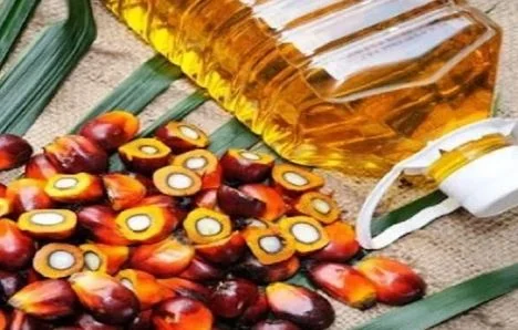 ಹೃದಯಾಘಾತಕ್ಕೆ ಈ `ಎಣ್ಣೆ'ಯೇ ದೊಡ್ಡ ಕಾರಣ! ಕೂಡಲೇ ಬಳಸುವುದನ್ನು ನಿಲ್ಲಿಸಿ