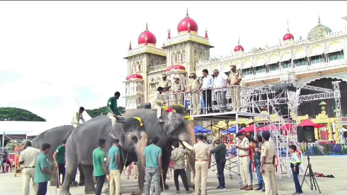 ಮೈಸೂರು ದಸರಾ: ಅರಮನೆ ಮುಂಭಾಗ ಜಂಬೂ ಸವಾರಿ ಪುಷ್ಪಾರ್ಚನೆ ತಾಲೀಮು