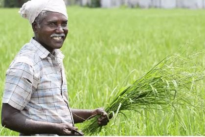 ಭಾರತದ ಕೃಷಿ ಕ್ಷೇತ್ರದಲ್ಲಿ ಡಿಜಿಟಲ್, ಎಐ ಕ್ರಾಂತಿ ಇದರಿಂದ ರೈತರಿಗೇನು ಪ್ರಯೋಜನ?
