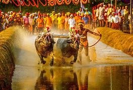 ಕಂಬಳ ನಡೆಸಲು ಅನುಮತಿ ಪಡೆದಿಲ್ಲ : ಹೈ ಕೋರ್ಟ್ಗೆ ಮನವಿ, ಅರ್ಜಿ