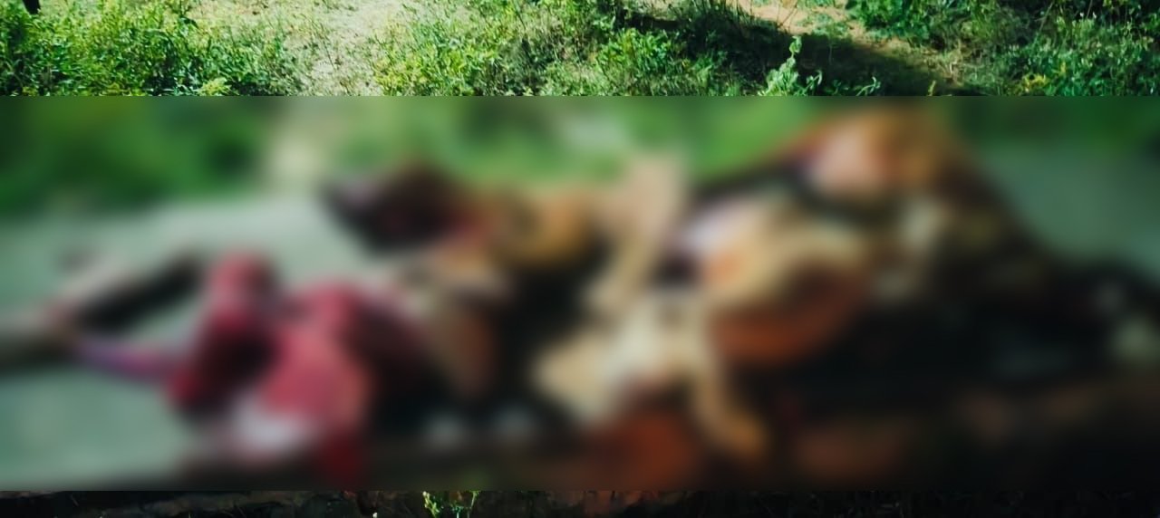 ಕೆಎಸ್ಆರ್ಟಿಸಿ ಬಸ್ ಹರಿದು 8 ಕುರಿಗಳು ಸಾವು