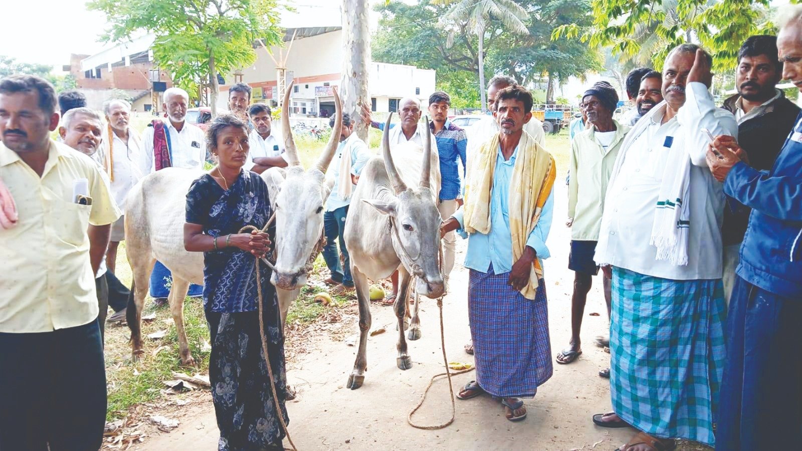ಕುಣಿಗಲ್ || ಲಕ್ಷಾಂತರ ರೂ.ಗಳ ಎತ್ತುಗಳ ಕಳ್ಳತನ : ಆರೋಪಿ ಬಂಧನ 