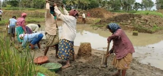 ಮೈಸೂರು || ನರೇಗಾ ವೇತನ 370 ರೂ.ಗೆ ಏರಿಕೆ: ಕಾರ್ಮಿಕರ ಜೀವನದಲ್ಲಿ ಆಗುವ ಬದಲಾವಣೆಗಳೇನು?