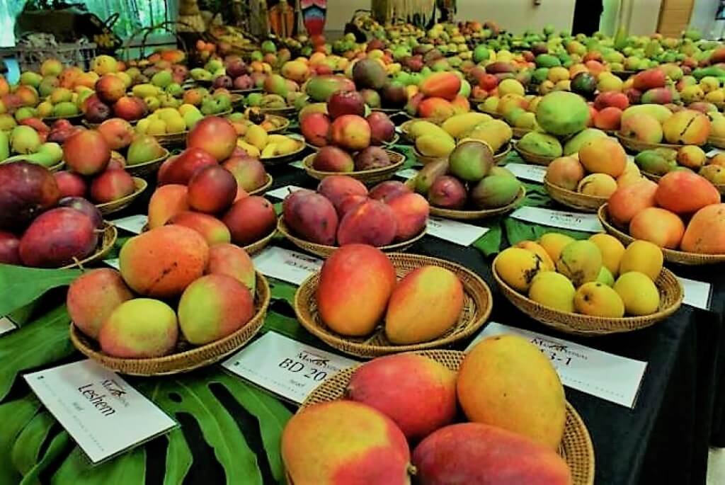 ಧಾರವಾಡ || 5 ದಿನಗಳ Mango fair, ವಿಶೇಷತೆಗಳು