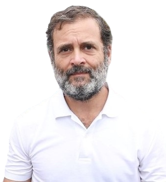 ಎಸ್​ಐಆರ್​ ಎಂಬುದು ಬಿಹಾರದಲ್ಲಿ ಮತಕಳವು ಮಾಡಲು ನಡೆಸಿರುವ ಹೊಸ ಪಿತೂರಿ: Rahul Gandhi