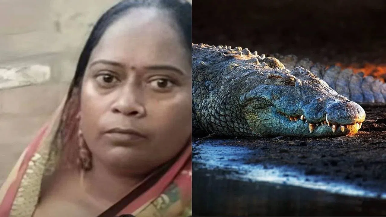 ಗಂಡನ ಜತೆ ಜಗಳದ ನಂತರ ಗಂಗಾ ನದಿಗೆ ಹಾರಿ, ಮೊಸಳೆಯ ಮುಖಕ್ಕೆ ಸಿಕ್ಕಿ ಮರಮೇಲೆ ಕುಳಿತ ಮಹಿಳೆ ರಕ್ಷಣೆ!