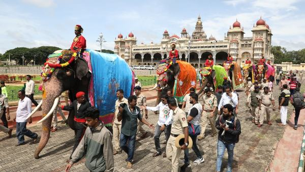 ದಸರಾ ಗಜಪಡೆಗೆ ಸಿಡಿಮದ್ದಿನ ಭರ್ಜರಿ ತಾಲೀಮು!