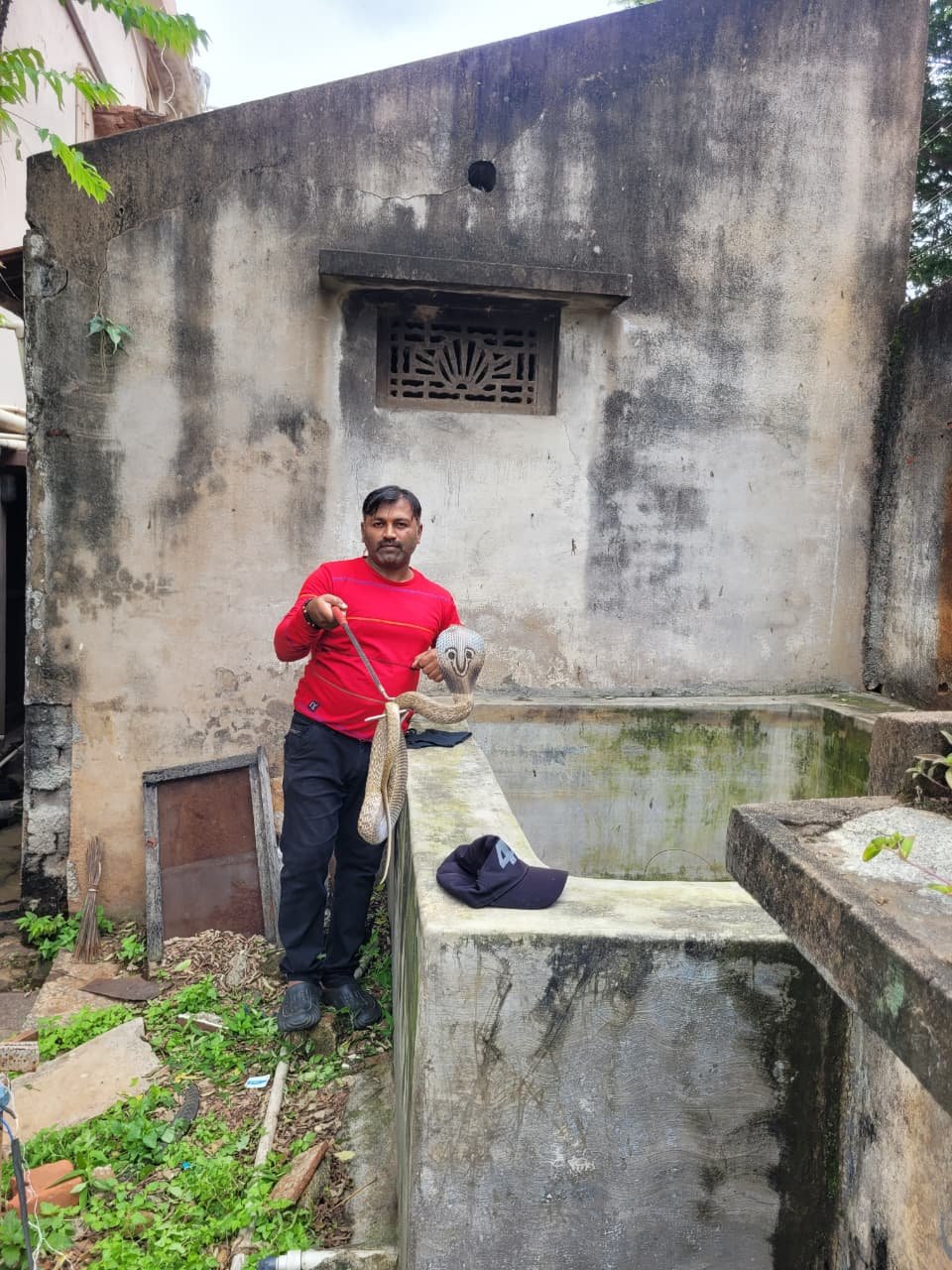 ಹಾವು ಹಾವನ್ನೇ ನುಂಗಿತು! ತುಮಕೂರಿನಲ್ಲಿ ಅಪರೂಪದ ದೃಶ್ಯ