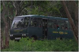 ಬಂಡೀಪುರ ಸಫಾರಿ ಪಾಯಿಂಟ್ ಕುಡುಕರ ಅಡ್ಡೆ? DCF ಕಚೇರಿ ಆವರಣದಲ್ಲೇ ನೂರಾರು ಮದ್ಯದ ಬಾಟಲಿಗಳು!