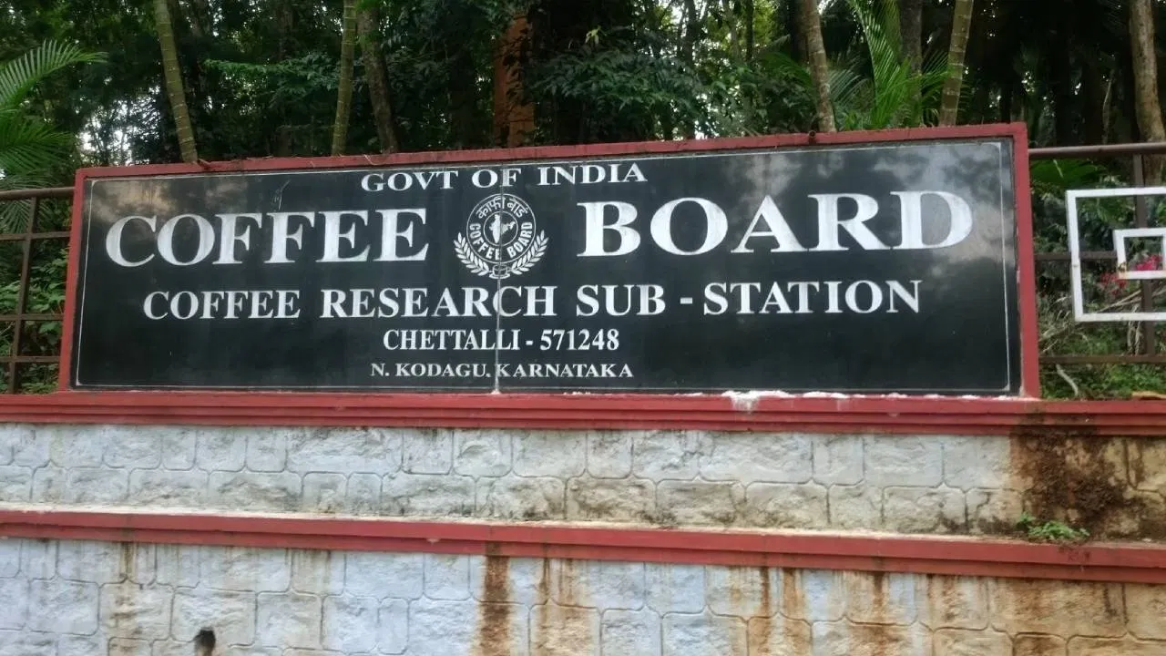 ಕೊಡಗಿನಲ್ಲಿ ಕಾಫಿ ಬೋರ್ಡ್ ಉದ್ಯೋಗಾವಕಾಶ: MSC ಪದವೀಧರರಿಗೆ ನೇರ ಸಂದರ್ಶನದಲ್ಲಿ ಭಾಗವಹಿಸಿ!