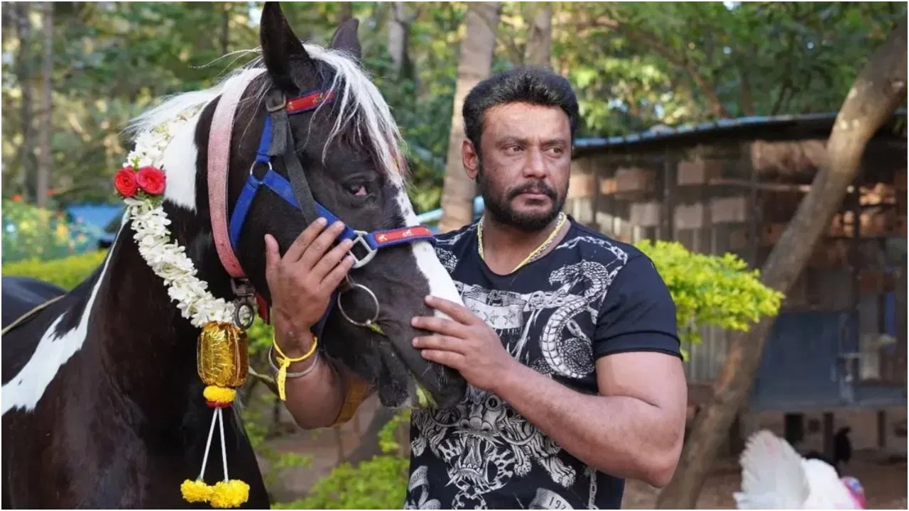  ‘ದರ್ಶನ್ ಕುದುರೆ ಮಾರಾಟ’ ಬೋರ್ಡ್ ಹಿಂದೆ ಇರುವ ಸತ್ಯವೇನು? ಆಪ್ತ ಸುನೀಲ್ ಸ್ಪಷ್ಟನೆ.
