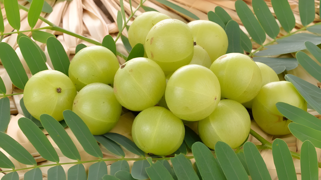 ಪ್ರತಿದಿನ 1 ನೆಲ್ಲಿಕಾಯಿ ತಿಂದ್ರೆ ಏನಾಗುತ್ತೆ ಗೊತ್ತಾ?